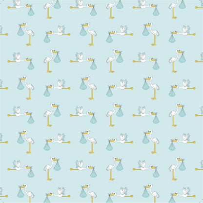 Baby Boy  Cardstock Pack 12&quot; / Paquete de 12 Hojas de Cartulina Bebé Niño Papel Little Birdie