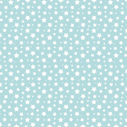 Baby Boy  Cardstock Pack 12&quot; / Paquete de 12 Hojas de Cartulina Bebé Niño Papel Little Birdie