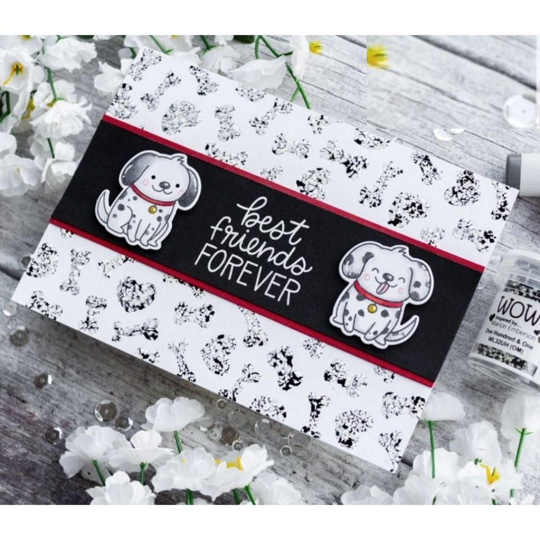 One Hundred &amp; One Embossing Powder / Polvo de Embossing Ciento Uno Polvos de Embossing Wow!