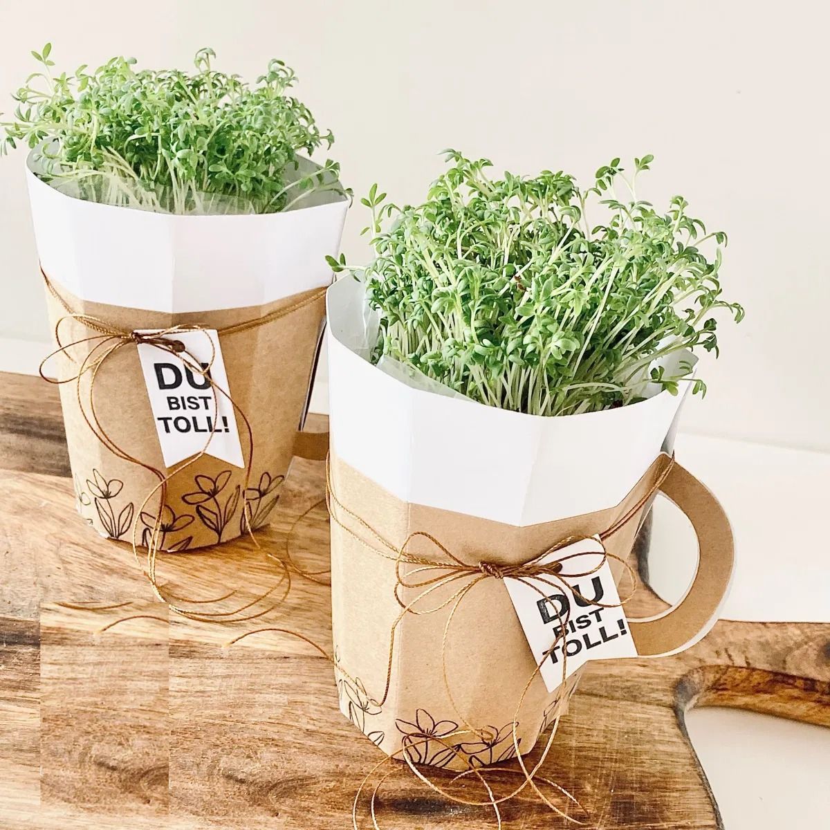 Suaje Cajita Para Hacer Cajitas de Tazas Plus Dados de Corte / Suajes / Troqueles Hobbees