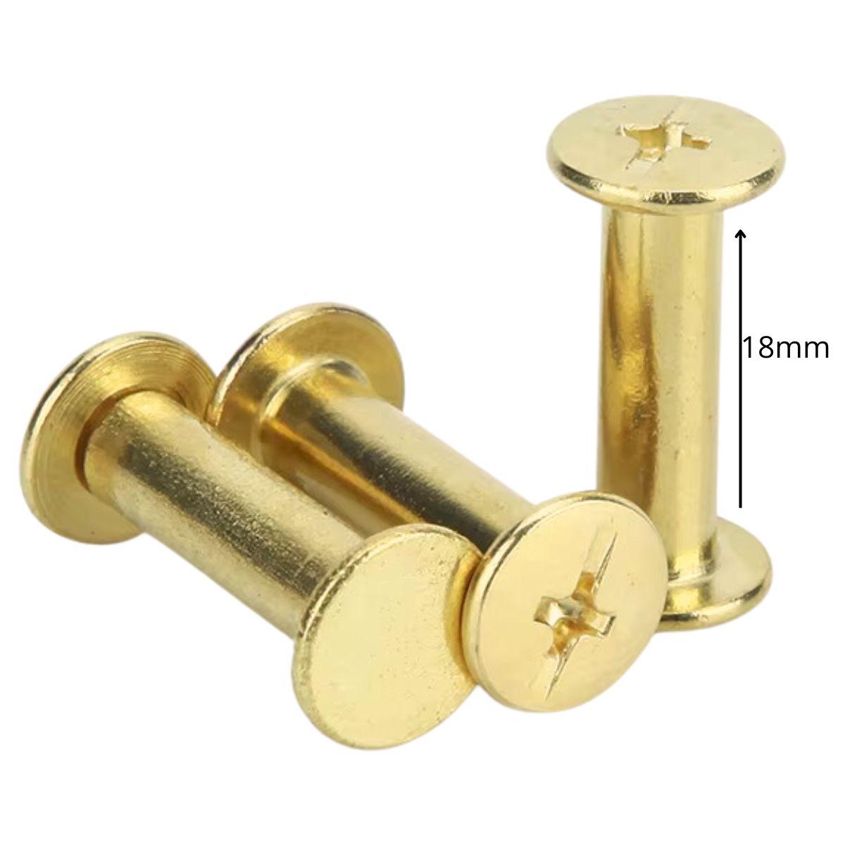 Tornillo Chicago para Encuadernación 18mm Encuadernacion Hobbees