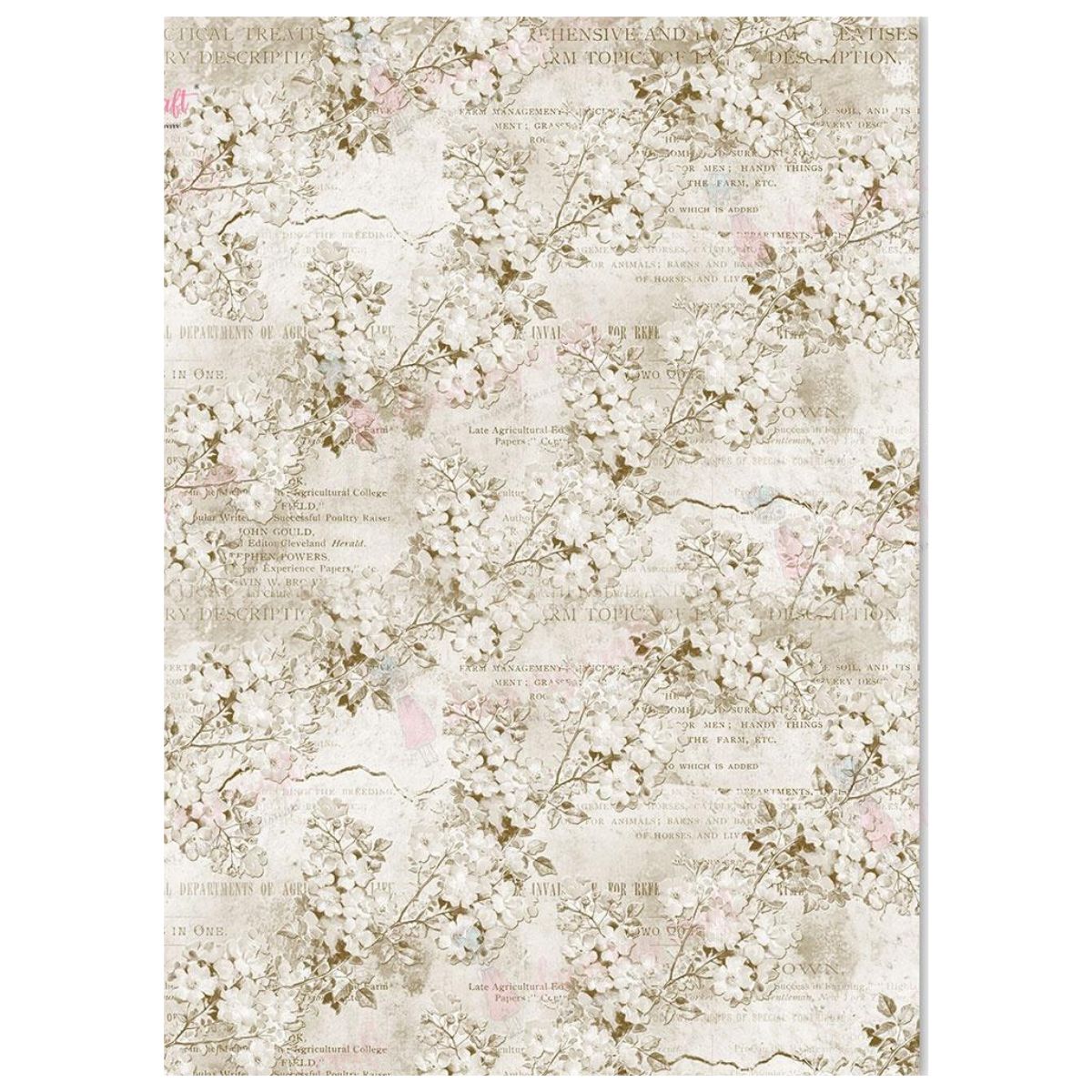 Flower Background 