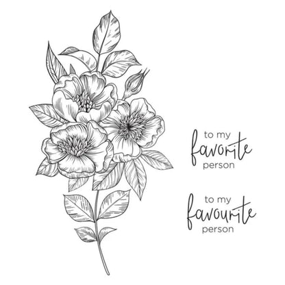 BetterPress Letterpress System / Sistema de Impresión Tipográfica Máquinas Spellbinders