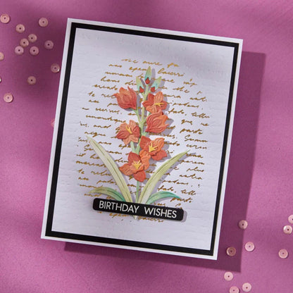 Script Text Press Plates / Placa para Estampado y Grabado Escritura Accesorios para Suajadoras Spellbinders