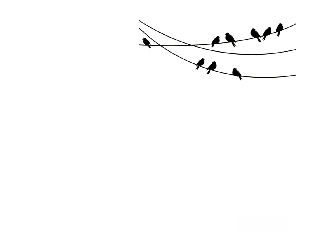 Embossing Birds On Wire / Folder de Grabado Pajaritos Folders de Grabado Darice