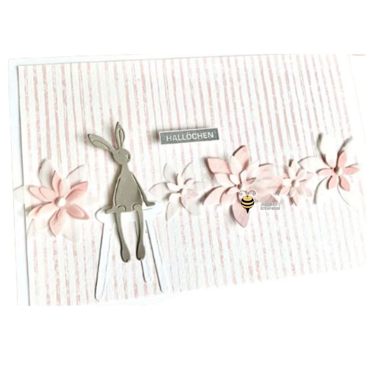 Suajes de Flor Cándida Dados de Corte / Suajes / Troqueles Hobbees