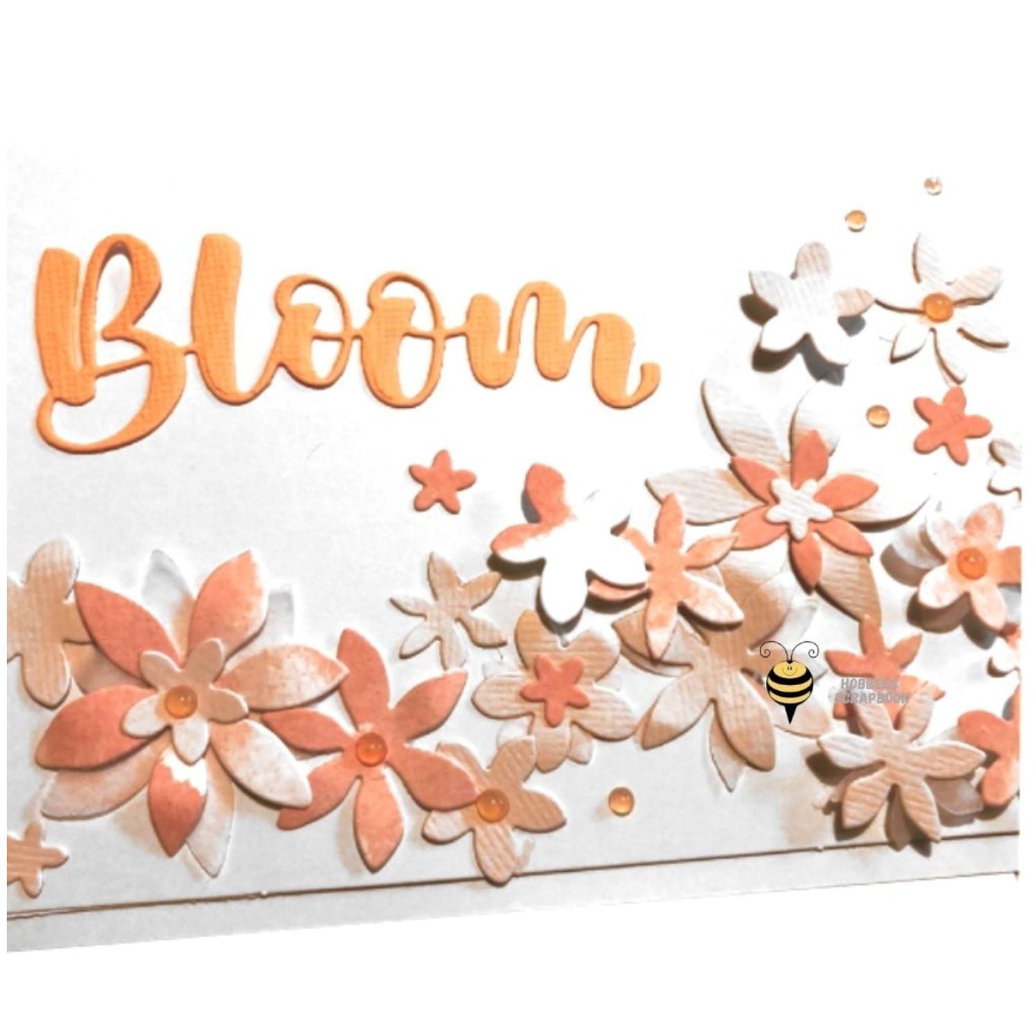 Suajes de Flor Cándida Dados de Corte / Suajes / Troqueles Hobbees