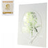 Anna Griffin Hot Foil Plate Classic Rose / Folder para Metalizar De Rosa Dados de Corte / Suajes / Troqueles Couture Creations