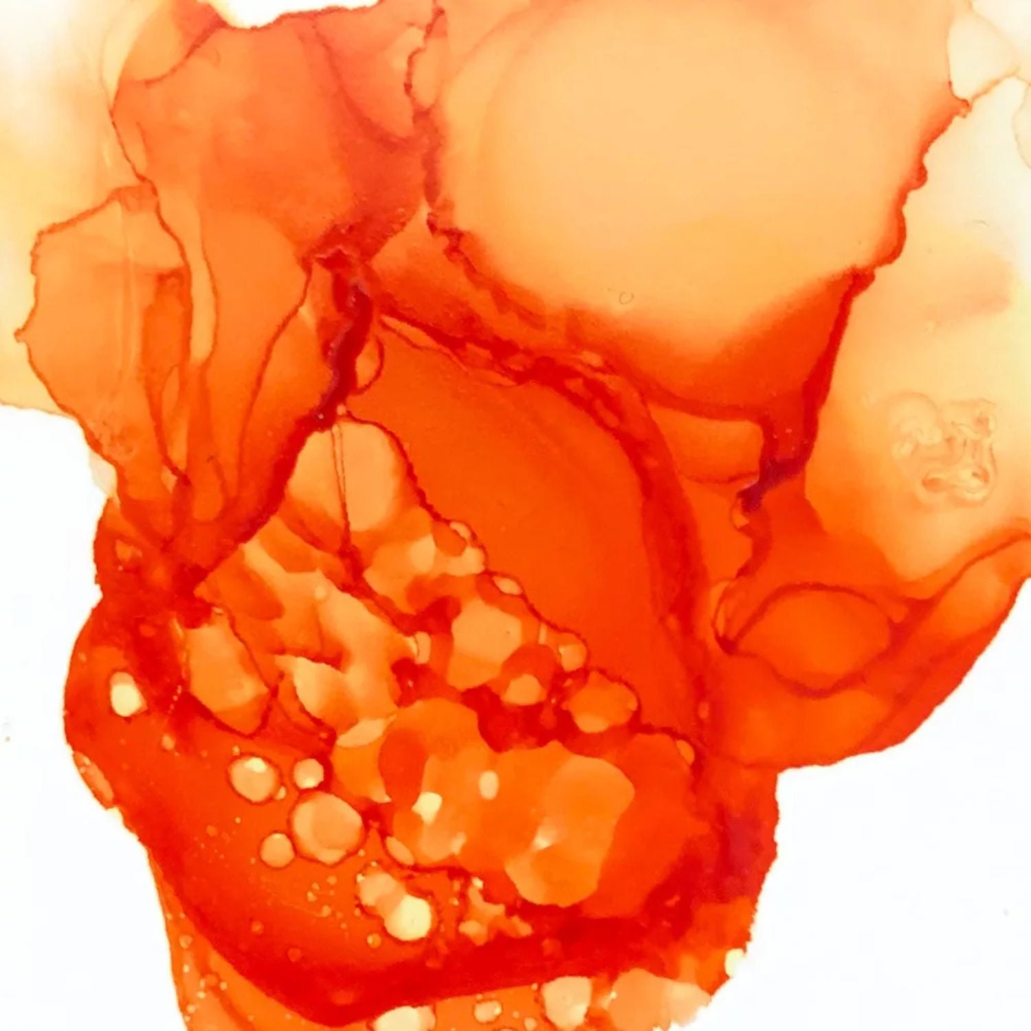 Tim Holtz Alcohol Valencia / Tinta al Alcohol Naranja Tintas al Alcohol Ranger