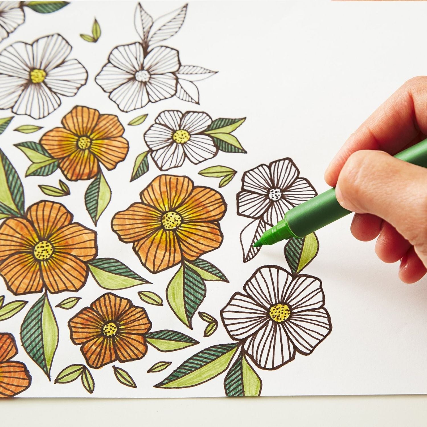 Infusible Ink Markers Basics / Set Marcadores Colores Básicos Colores y Plumones Cricut