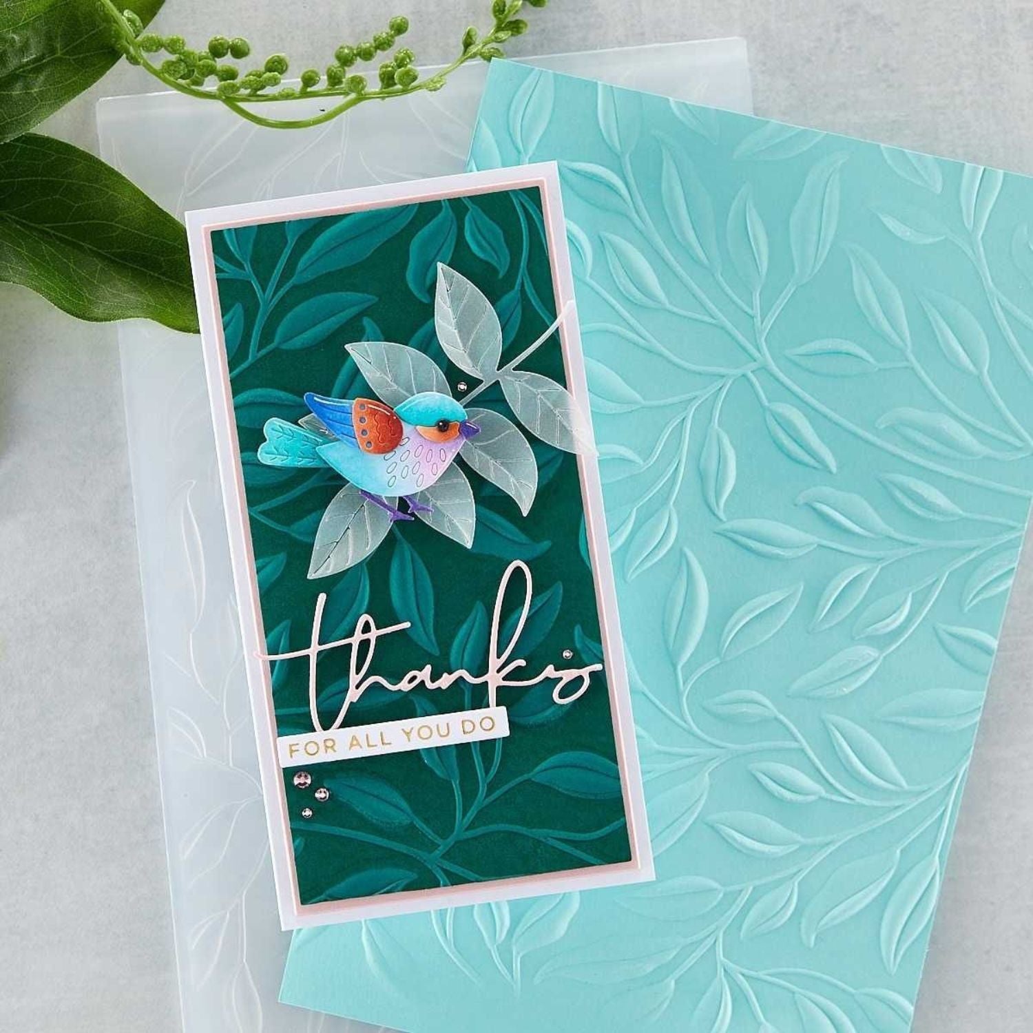 3D Embossing Folder Leafy / Folder de Relieve 3D Enredaderas Folders de Grabado Spellbinders