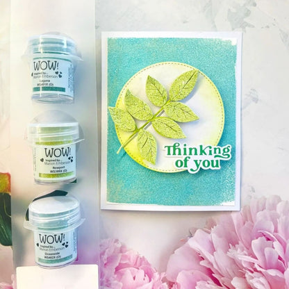Newport Embossing Powder / Polvo de Embossing Verde Polvos de Embossing Wow!