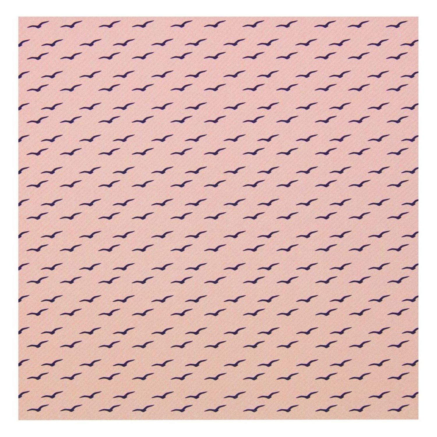 Mixed Card Pack Coral Skies / Papel en Tonos Azúl y Coral 6"x6" Papel Tonic Studios