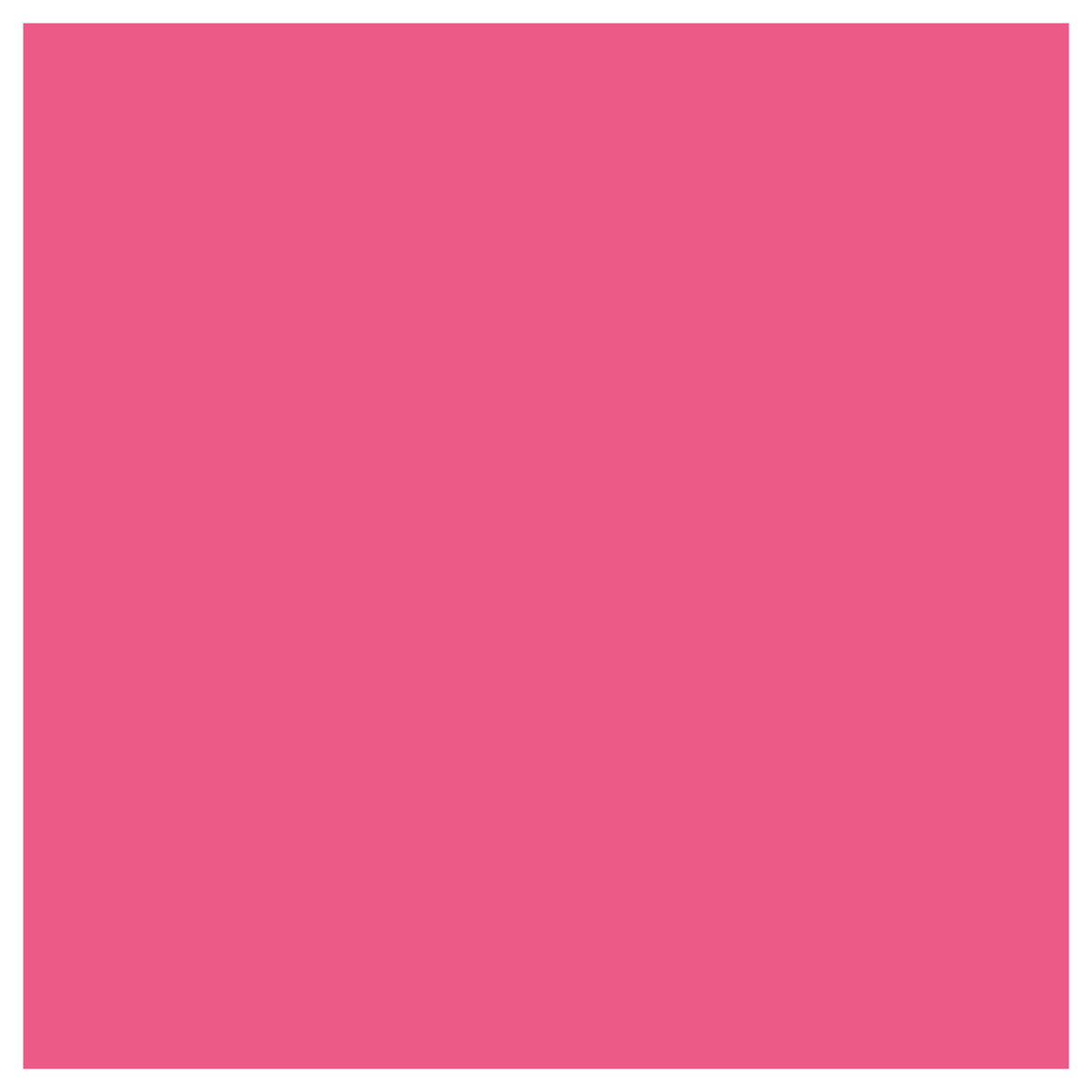 Rit Dye Liquid Fuchsia / Líquido para Teñir Fuchsia Pintura para Tela Rit