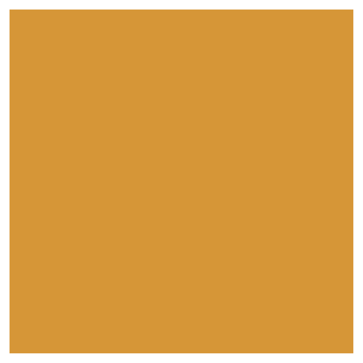 Rit Dye Liquid Marigold / Líquido para Teñir Maravilla Pintura para Tela Rit