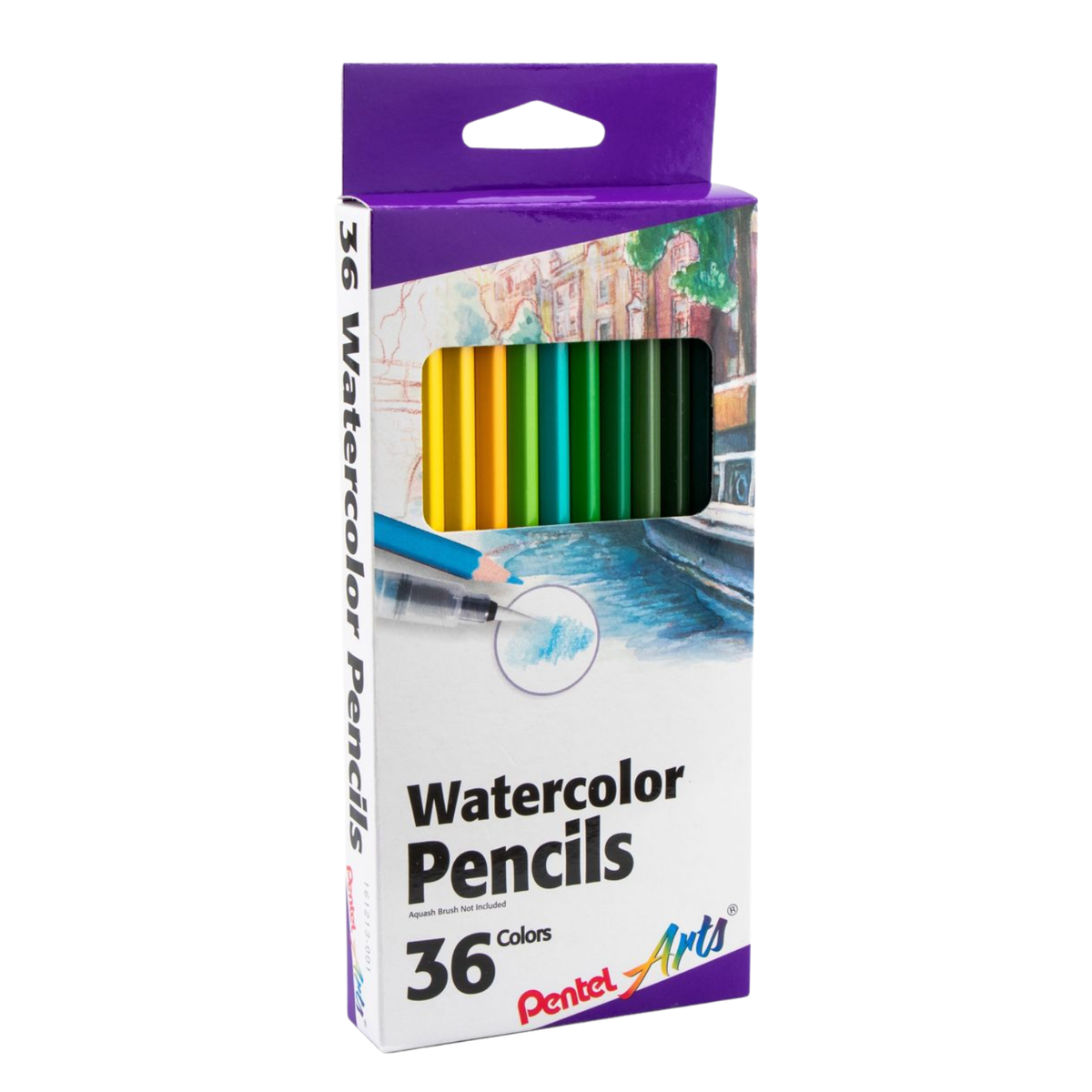 Watercolor Pencils Arts / 36 Lápices de Acuarela Colores y Plumones Pentel