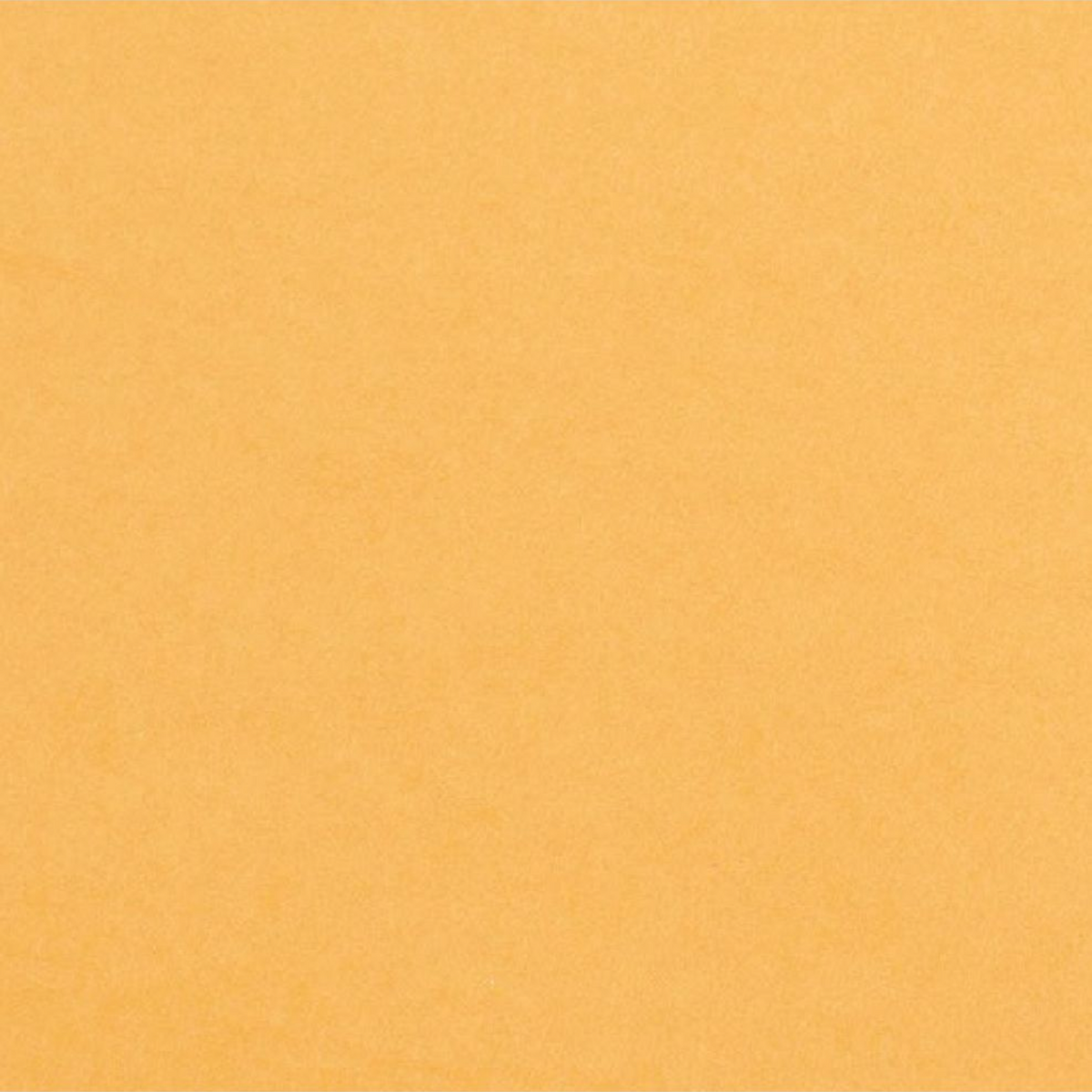Cardstock Tiger Foundations / 10 Cartulinas Color Naranja Tigre
