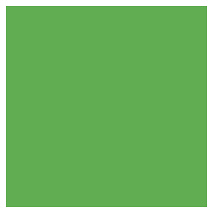 Rit Dye Liquid Truly Green / Líquido para Teñir Verde Truly Pintura para Tela Rit