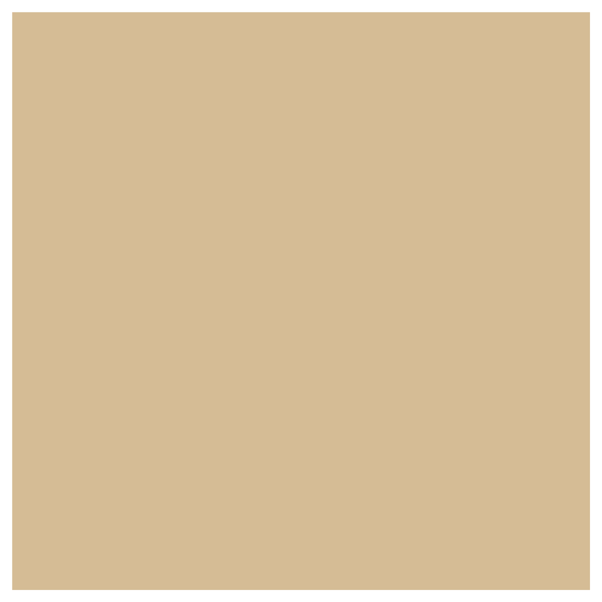 Rit Dye Liquid Tan / Líquido para Teñir Tostado Pintura para Tela Rit