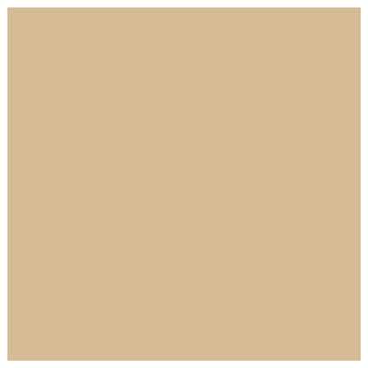 Rit Dye Liquid Tan / Líquido para Teñir Tostado Pintura para Tela Rit