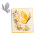 Mariposa 3D Dados de Corte / Suajes / Troqueles Hobbees