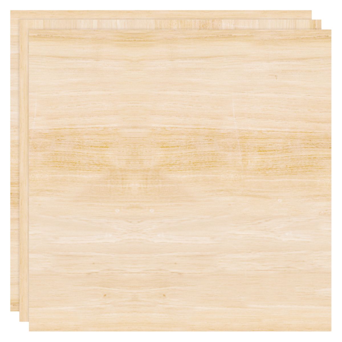 Singe Quill Veneer Sheets 8&quot; / Láminas de Chapa de Madera Accesorios We R Makers