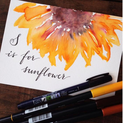 Alcohol Brush Markers 12 pc. / Marcadores de Alcohol 12 pz. Colores y Plumones Studio 71