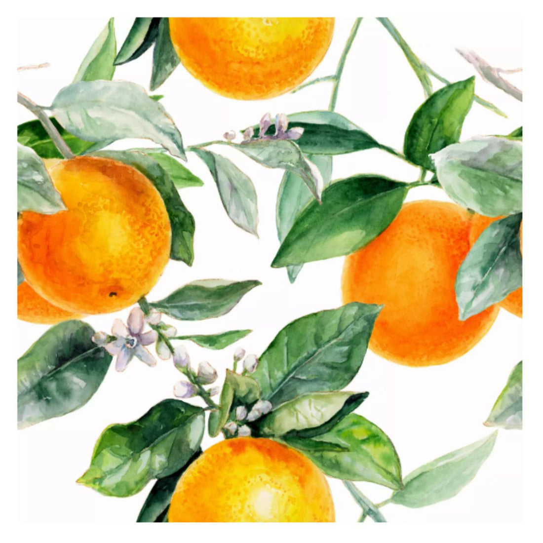 Servilleta de Papel Orange Tree 