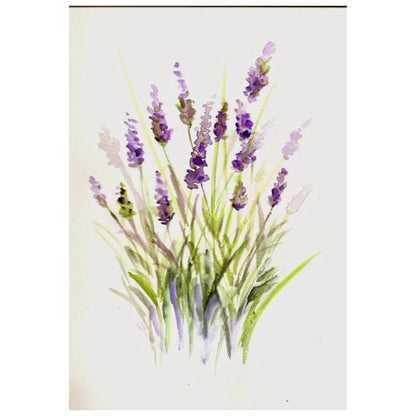 Watercolor Pencils and Paints / Lapices y Acuarelas Acuarela Royal Langnickel