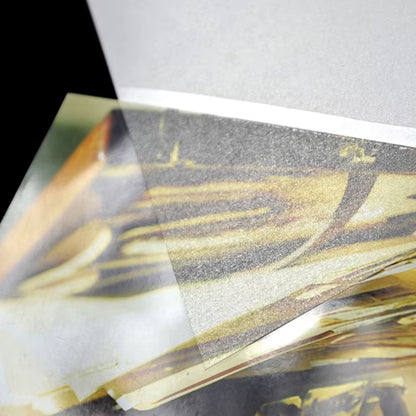 5 Hojas de Laminado en Frío Glitter Escarchado Acetato y Especializados Hobbees