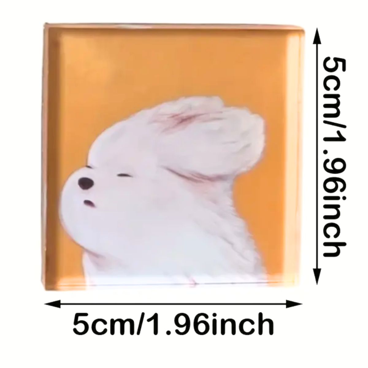 Kit para Hacer 5 Imanes Personalizados Acetato y Especializados Hobbees