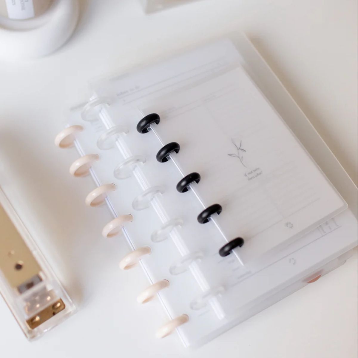 Journelle Discos para Encuadernación Transparentes Discos para Planners Angie Guerra &amp; Hobbees