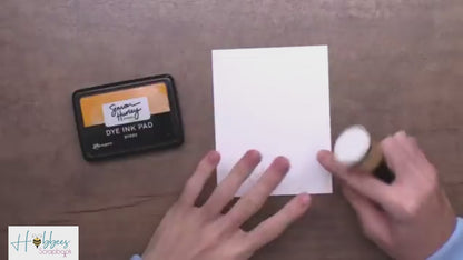 Aplicador de Tinta con 2 Cojines Intercambiables Herramientas Hobbees