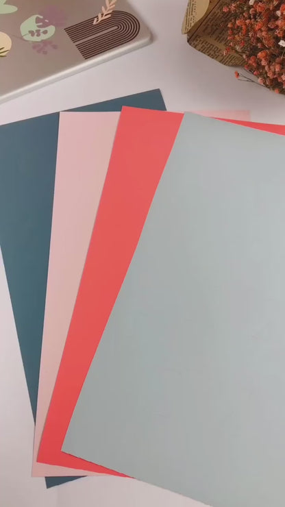 Dusty Matte Ivory White Vinyl / Vinil Marfil Blanco Mate Polvoriento Viniles Teckwrap