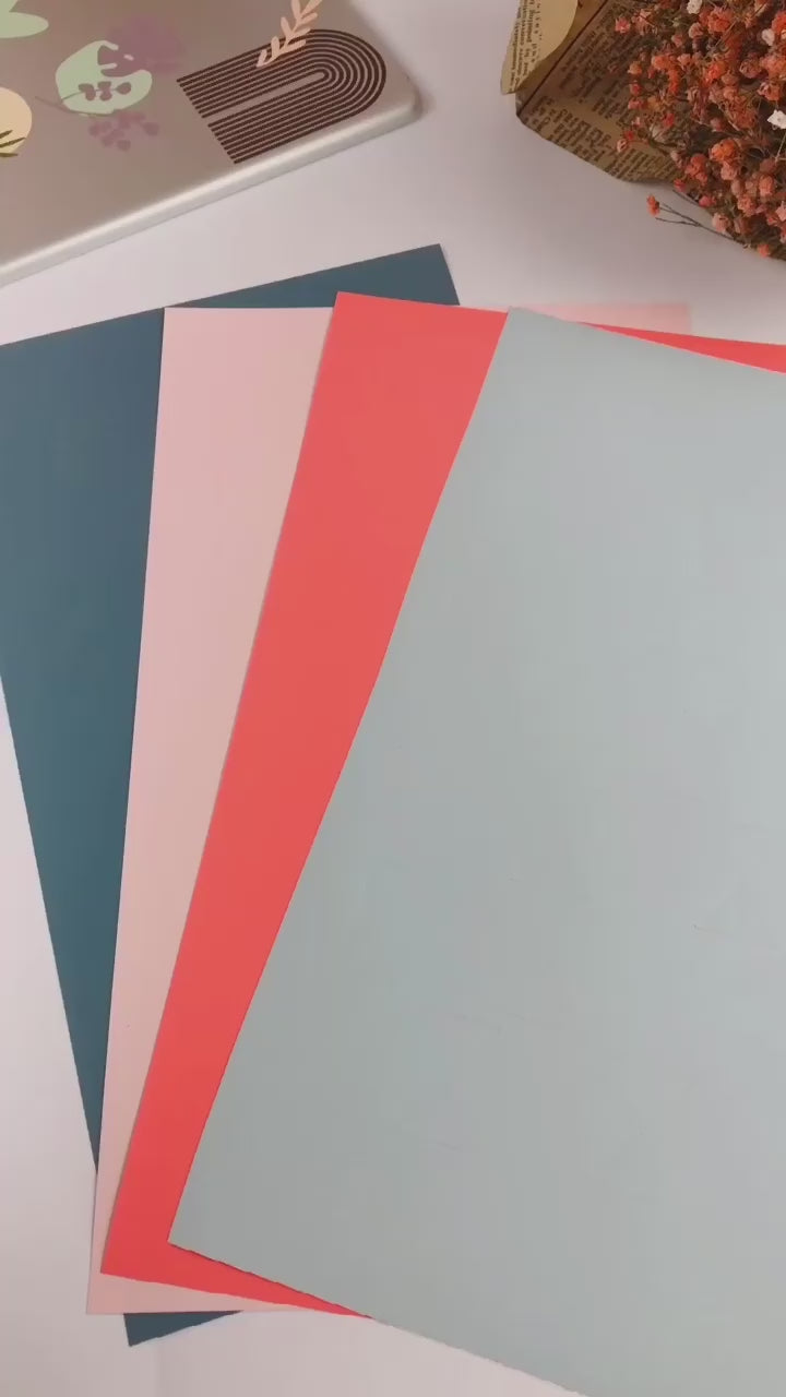 Dusty Matte Ivory White Vinyl / Vinil Marfil Blanco Mate Polvoriento Viniles Teckwrap