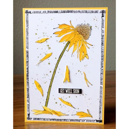 Stitches Stamps / Sellos de Puntadas Descontinuado BoBunny