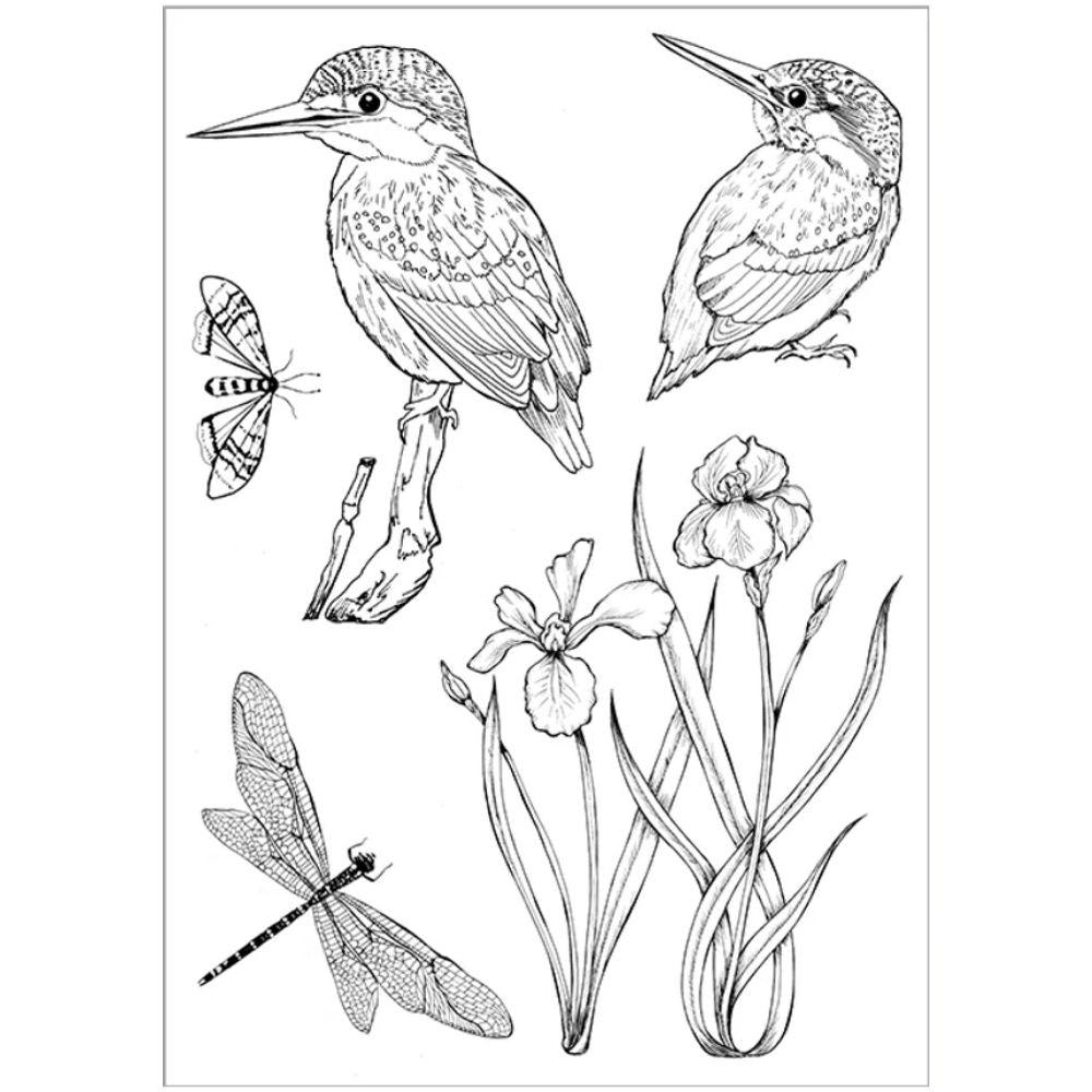 Kingfisher Stamps / 5 Sellos Pajaritos Descontinuado Craft Consortium