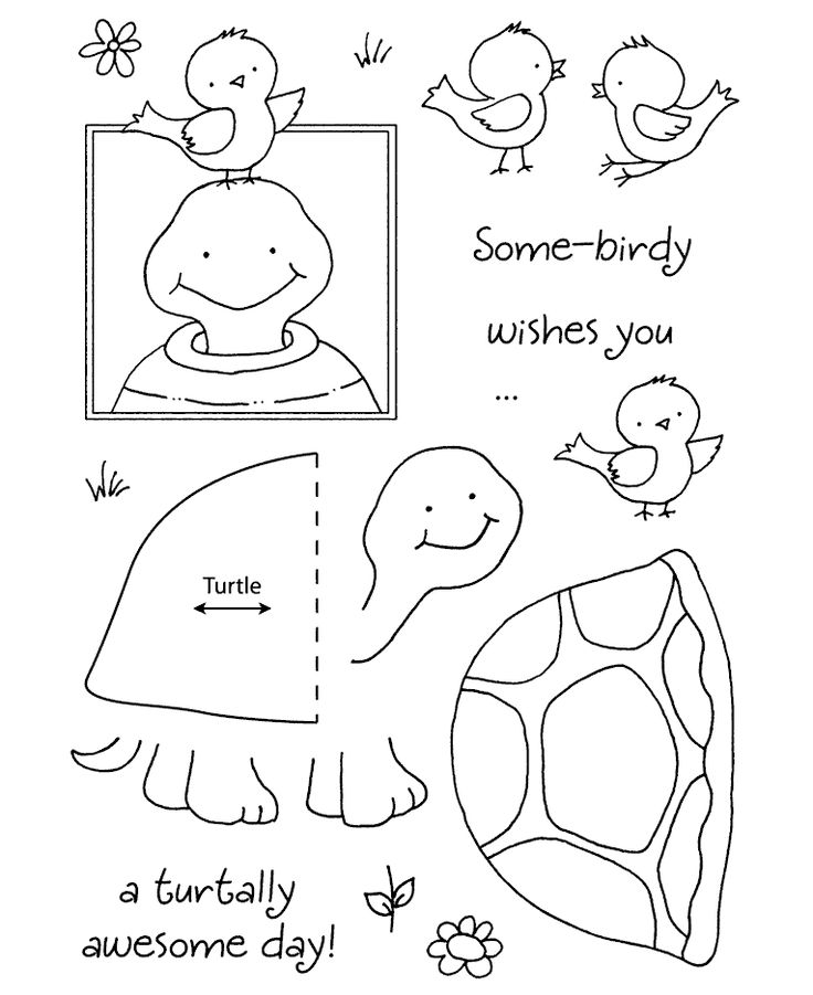 Turtle Stamps / Sellos de Polímero Tortuga Descontinuado Honey Pop