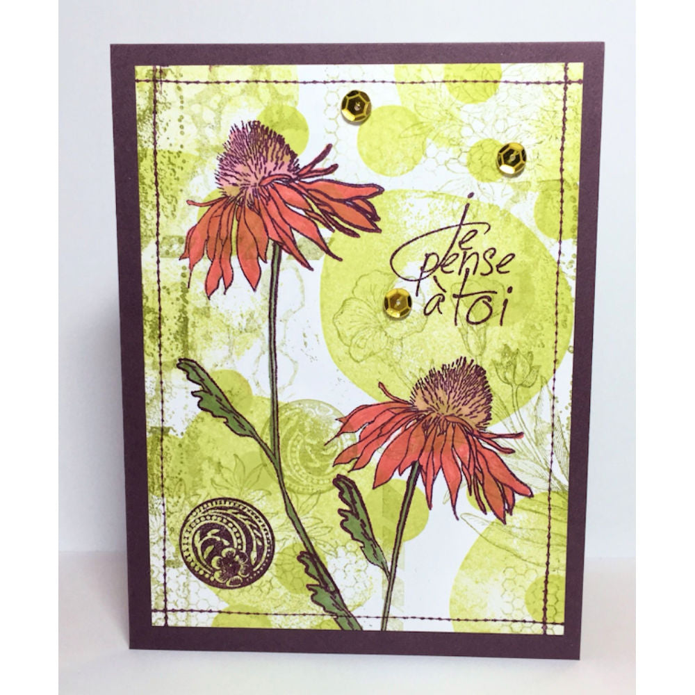 Stitches Stamps / Sellos de Puntadas Descontinuado BoBunny