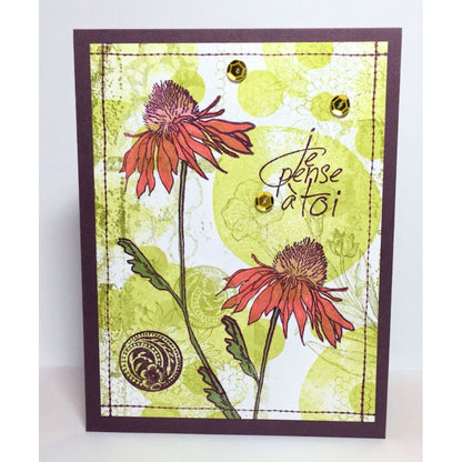 Stitches Stamps / Sellos de Puntadas Descontinuado BoBunny