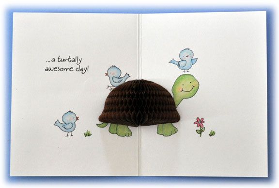 Turtle Stamps / Sellos de Polímero Tortuga Descontinuado Honey Pop