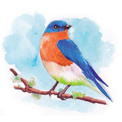 Aqua by Spectrum Noir Primary / Marcadores de Artista Acuarelables Marcadores &amp; Plumones Crafter&