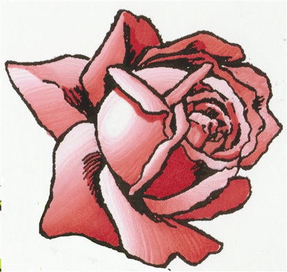 Chameleon Color Tones Markers 5 Pc Warm Tones / Marcadores Camaleon Cálidos Colores y Plumones Chameleon