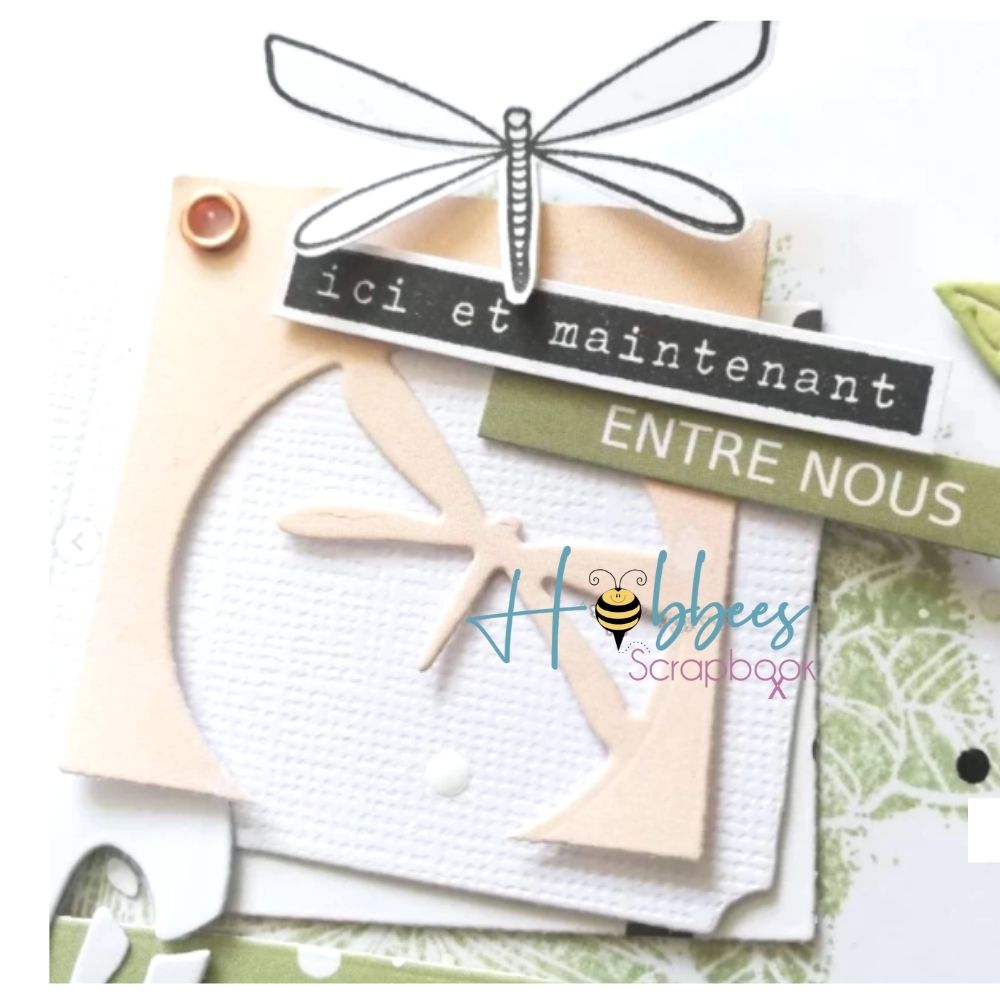 Suajes de Círculos Decorativo con Libelula Dados de Corte / Suajes / Troqueles Hobbees