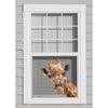 Joy Riders Giraffe Window Cling / Cling Adherible para Ventanas Jirafa