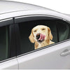 Joy Riders Dog Licking Window Cling / Cling Adherible para Ventanas Perro