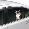 Joy Riders Cat Glasses Window Cling / Cling Adherible para Ventanas Gato Lentes