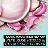 Tazo Rose Pink Latte, Herbal Tea / Concentrado de Té de Rosas