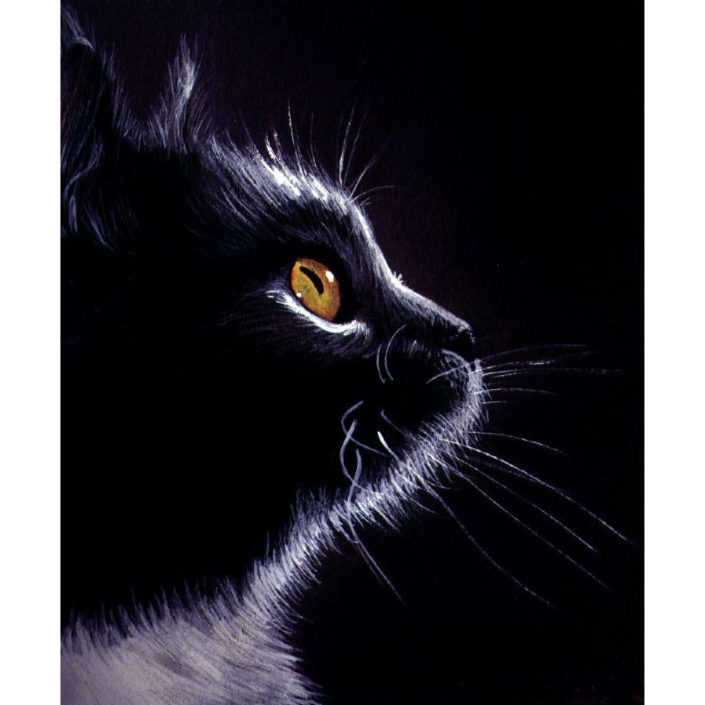 Black Paper Sketch Pad A4 / Block de Boceto Papel Negro Descontinuado American Crafts