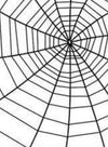 Spider Web Embossing / Folder de Grabado Telaraña